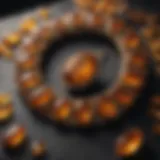 Radiant Glow of Amber Fossil Jewellery