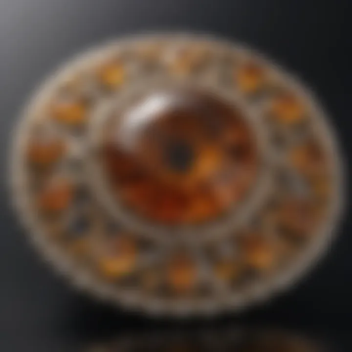 Timeless Elegance of Amber Fossil Jewellery Designs