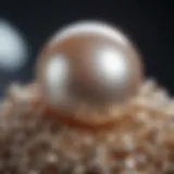 Close-up of lustrous natural pearl under magnification