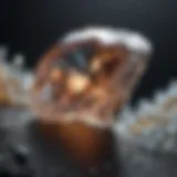 Exquisite Diamond under Microscope