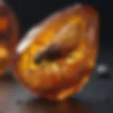 Amber Piece with Insect Inclusion